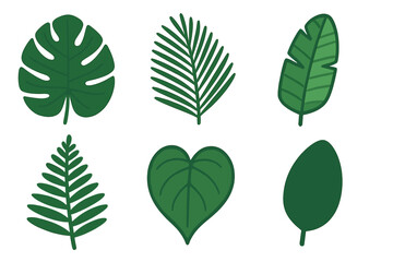 Collection of various tropical jungle foliage featuring monstera, palm, and heart shaped leaves