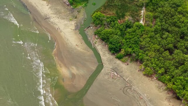 Stunning top down drone footage of a river flowing into the ocean next to a lush mangrove forest