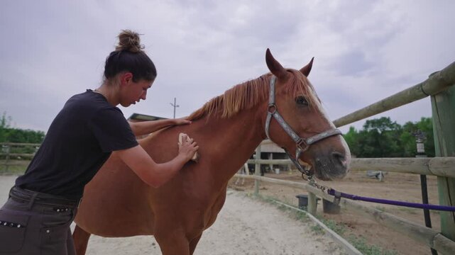 Woman Brushing Horse&rsquo;s Neck at Stable
