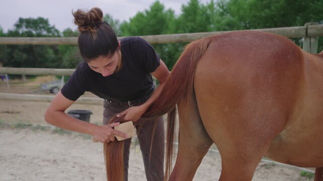 Woman Brushing Horse&rsquo;s Tail During Grooming