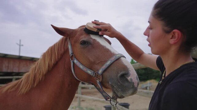 Woman Gently Brushing Horse&rsquo;s Face