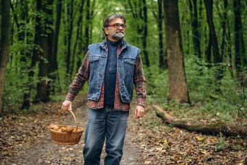 Fototapeta premium Walking, collected lot of them, in basket. Mushroom picking. Man is in the forest at daytime