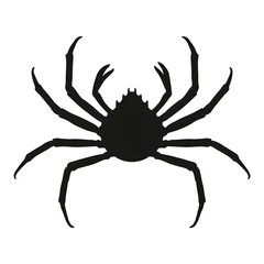 Spider crab silhouette vector style