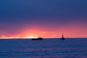 Abalone Fishing in Tasmania