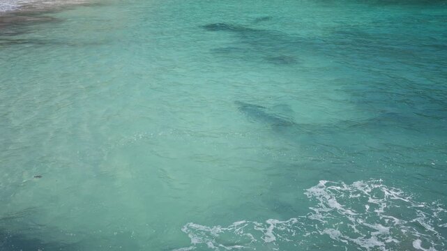 Emerald waves gently lapping at the shore of a pristine mallorca beach, capturing the serene beauty and inviting allure of the mediterranean coastline.