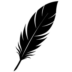 Fototapeta premium feather vector illustration