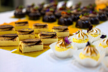 Lemon curd meringue mini cheesecake wrapped in paper and tiramisu slices with hazelnut and chocolate , sited on the table, edible flowers