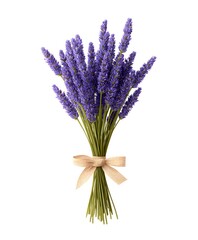 Fototapeta premium Lavender Bouquet Elegance: A delicate bouquet of vibrant lavender blooms, their soft purple hues are elegantly tied with a natural-toned ribbon. Captured in soft light.