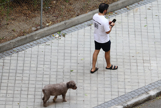 Persona paseando a su perro de aguas en chanclas de piscina y mirando tel&eacute;fono m&oacute;vil