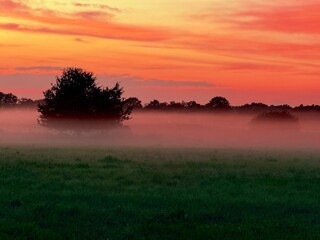 fantastic orange sky at the field, foggy sunset, trees silhouettes at the fog, farmland