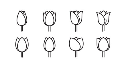 Collection of outline tulip flowers hand drawn simple line art isolated spring botanical elements vector