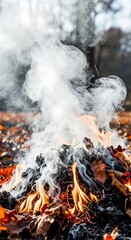 Burning Autumn Leaves - A Smoky Display of Seasonal Change.