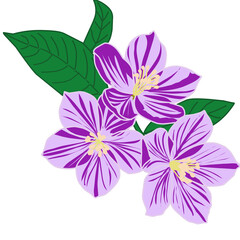 Purple Striped Flowers with Green Leaves Illustration