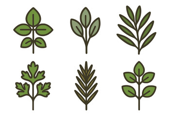 Six stylized green herb and plant leaves icons for nature and culinary design
