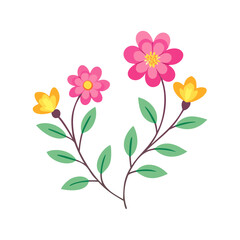 Pink and Yellow Flowers with Branches and Leaves ? Floral Vector Illustration