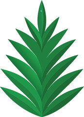 Close up pine leaves with fresh dewdrops and soft shadow natural background