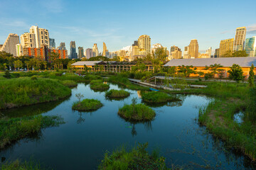 Green city park with swamp sunset blue sky cloud trees track running  walking relax in park on green grass field on the side