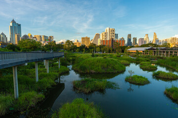 Fototapeta premium Green city park with swamp sunset blue sky cloud trees track running walking relax in park on green grass field on the side