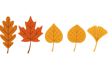 Five distinct autumn leaves in warm orange and yellow hues