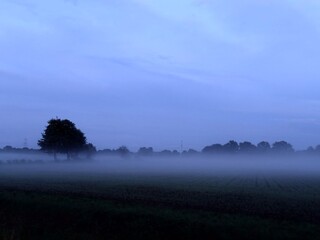 foggy field, natural misty field view