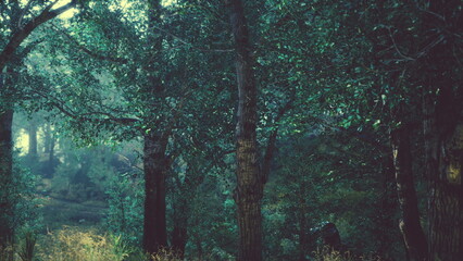 Morning light filters through lush green trees in a tranquil forest. A soft mist lingers, creating a serene atmosphere filled with natures beauty, inviting exploration and adventure.