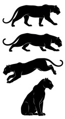 Black Panther Silhouettes - A Study in Motion and Stillness.