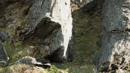 Rugged rocks rise from the earth, covered in patches of moss and grasses. Bright sunlight filters through, creating fascinating patterns and shadows that dance across the rocky surface.