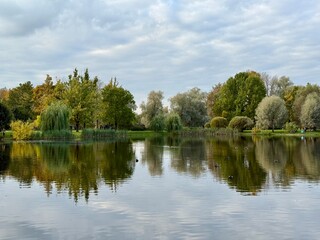 autumn trees reflection on the blue lake surface, autumn lake in the park