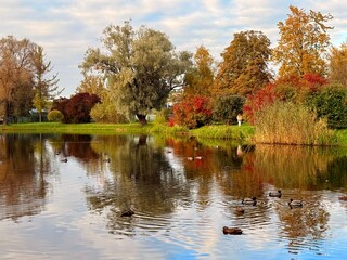 autumn trees reflection on the blue lake surface, autumn lake in the park