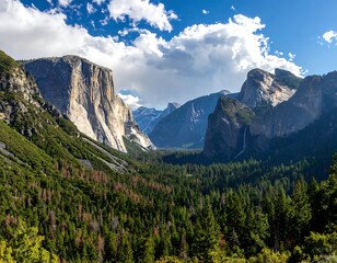 Obraz premium Yosemite Valley Panorama.