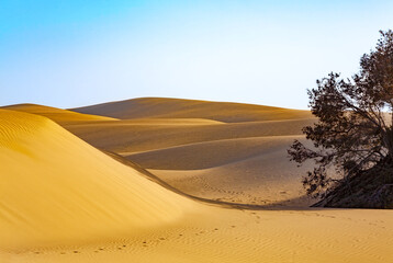 Sand Dunes, Maspalomas, Island Gran Canaria, Canary Islands, Spain, Europe.