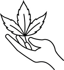 hand holding herbal leaves outline.