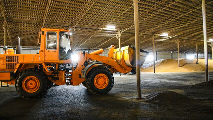 Loader loads sunflower seeds into a truck