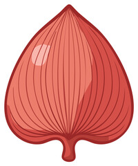 Stylized Red Seed Illustration with Line Detailing and Smooth Surface for Decorative Elements