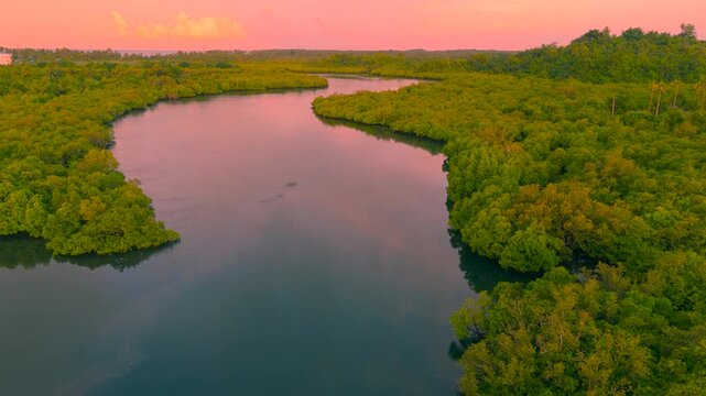 Aerial view of the winding Sucuri River surrounded by dense green tropical forest. The river flows under a vibrant pink and orange sunset sky in Brazil.