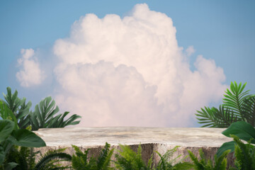 Wood table top podium with green leaves warm white clouds on blue sky nature forest background.Product present natural placement pedestal display,paradise dreamy concept.