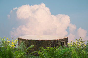 Wood stump podium with green leaves warm white clouds on blue sky nature forest background.Product present natural placement pedestal display,paradise dreamy concept.