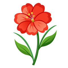 lechenaultia-macrantha flower vector isolated on white background