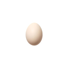 egg on white background