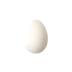 egg on white background
