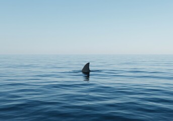Fototapeta premium Shark Fin Above the Ocean Surface
