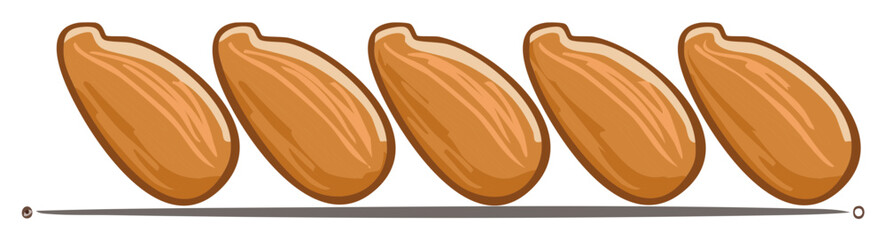 Obraz premium Vector cartoon illustration of five whole almonds lined up, a healthy snack food