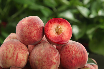 Fresh Chinese Blood Peaches from Hubei Province with Red Cinnabar Flesh