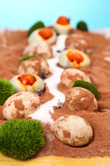 Gaoyou Salted Duck Eggs Creative Food Art Display with Roasted and Runny Yolk Varieties