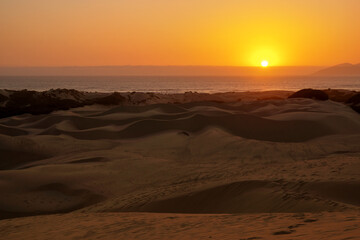 Golden Sunset over Oceano Dunes Natural Preserve, California, USA