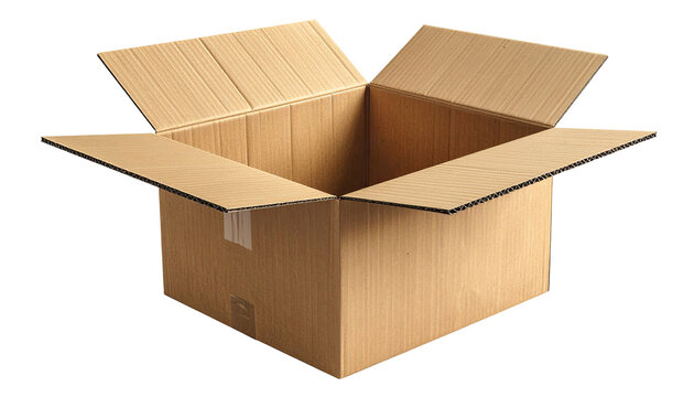 Open cardboard box (1)