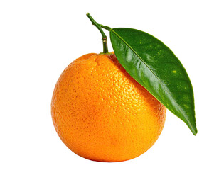 Single orange with green leaf