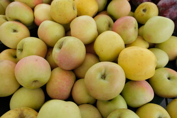A crate brims with fresh apples in varying shades of pale green, yellow, and soft red blush.