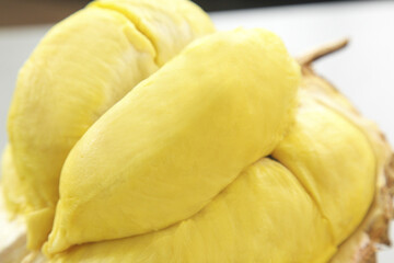 Fresh Golden Durian Fruit Segments in Natural Shell - Exotic Tropical Asian Delicacy
