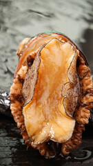 Fresh Abalone Shellfish Closeup - Premium Seafood Ingredient for Gourmet Cuisine